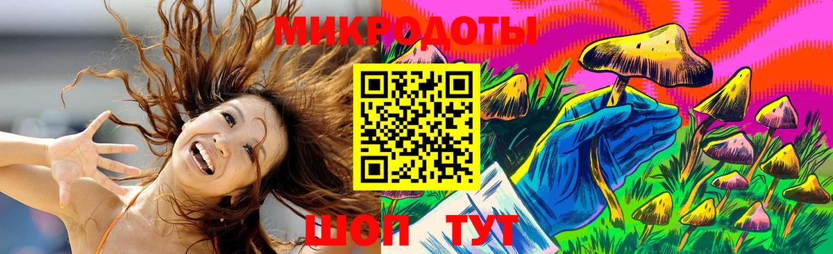 Псилоцибиновые грибы Psilocybine cubensis Луга