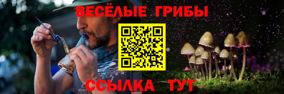 сколько стоит  Галлюциногенные грибы GOLDEN TEACHER  Вход с VPN  Луга 